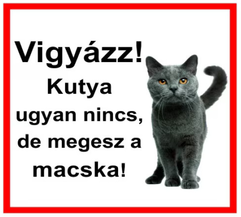 postaimre.net/kepek/vigyazz-macska.jpg